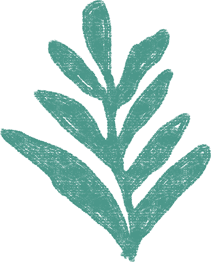 Rysunek zielonej rośliny