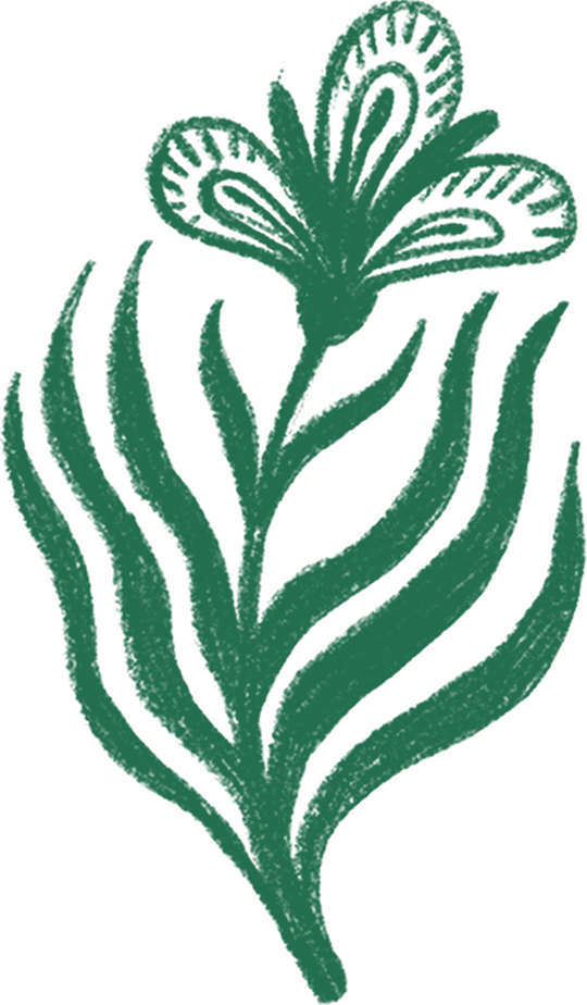 Rysunek zielonego kwiatka